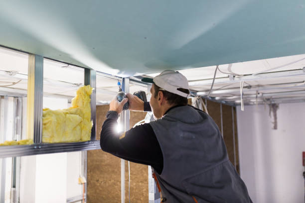 Best DIY Insulation Kits and Guidance in Montevlo, AL